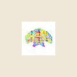 Sensoryresearch.com Sensoryresearch.com
